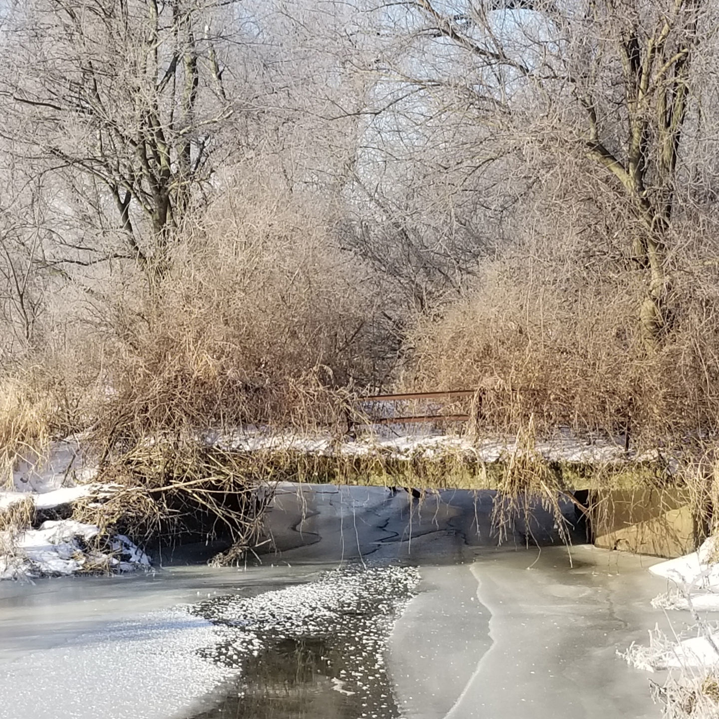 winter scene